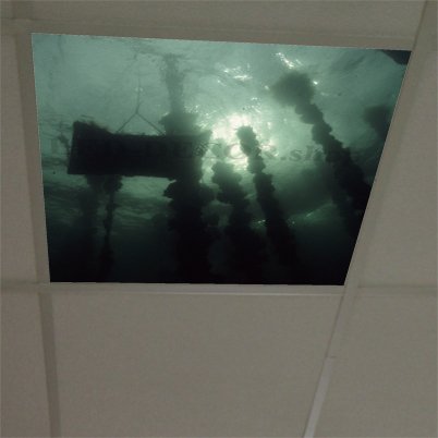 Visuel diffusant ref: Plongeurs 1. Format 60 x 60 cm.