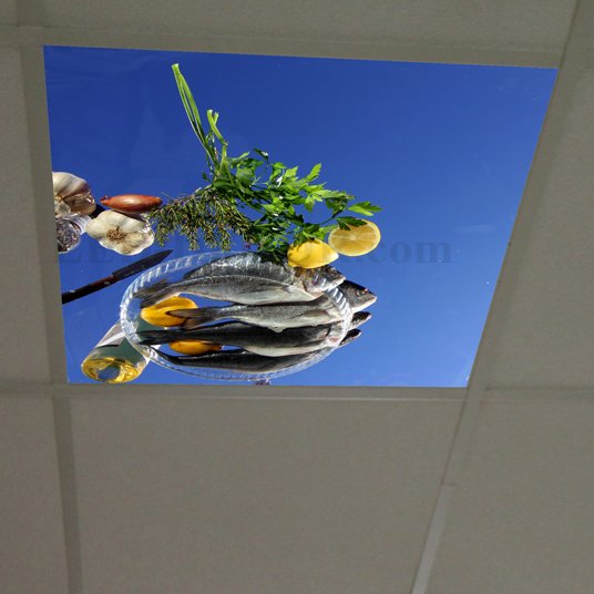 Visuel diffusant ref: Menu poissons. Format 60 x 60 cm.