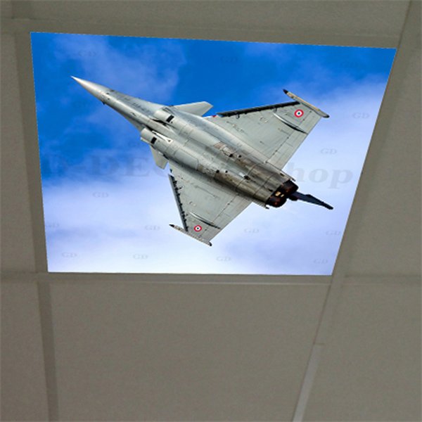 Décor diffusant ref: Voltige 4. Format 60x60 cm pour dalles led de faux plafond.