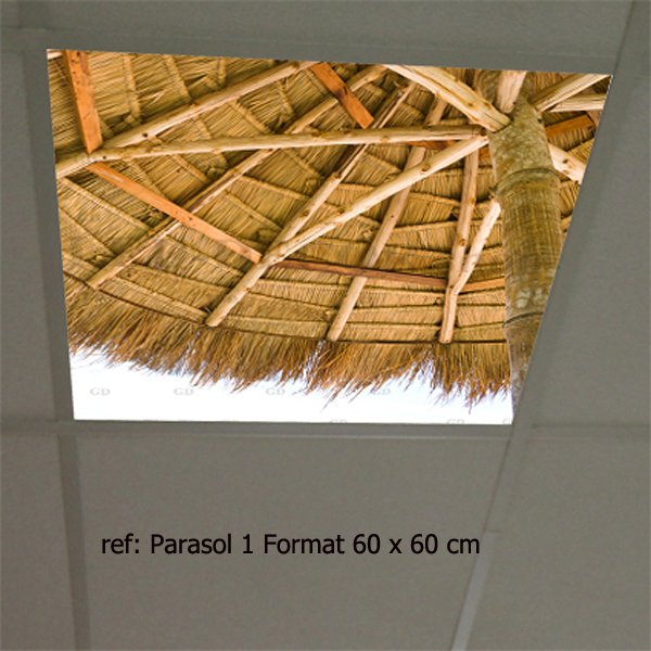 Visuel plafond décor ref: Parasol 3 Format 120 x 120 cm soit 4 plaques de 60 x 60 cm