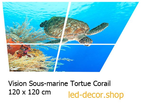 Décor diffusant ref: Vision Sous-Marine Tortue Corail. Pour dalles led 60x60cm de faux plafonds.