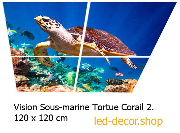 Décor diffusant ref: Vision Sous-Marine Tortue Corail 2. Pour dalles led 60x60cm de faux plafonds.