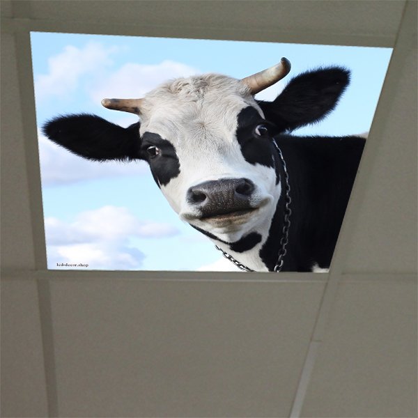 Décor diffusant ref: Vache 1 pour dalles led 60 x 60 cm de faux plafonds.